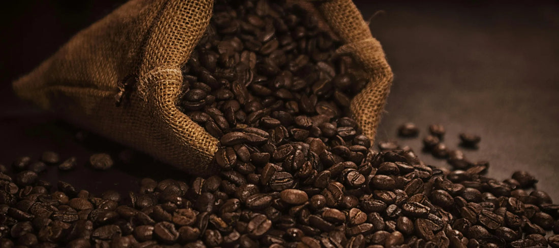 Medium roast coffee beans spilling from a burlap sack for home brewing